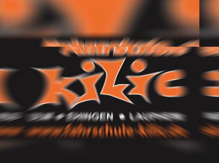 Seedwings Germany Logo